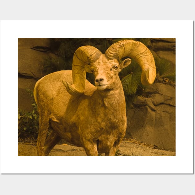 ola big horn Wall Art by pcfyi